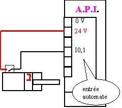 animation du cablage d'un dtecteur 2 fils